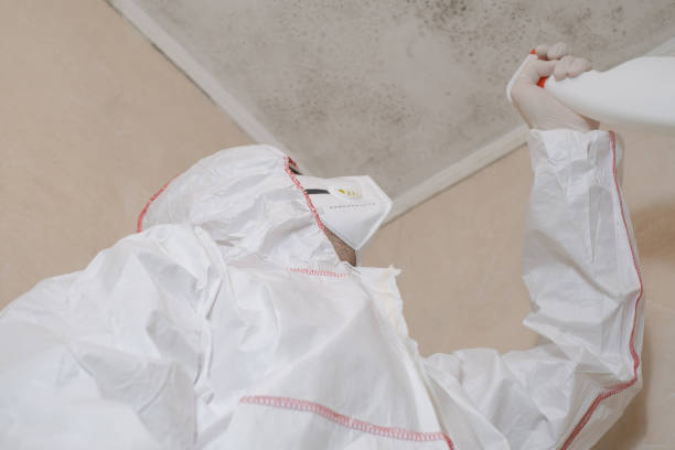 Best Mold Testing and Inspection Services in Burleson, TX