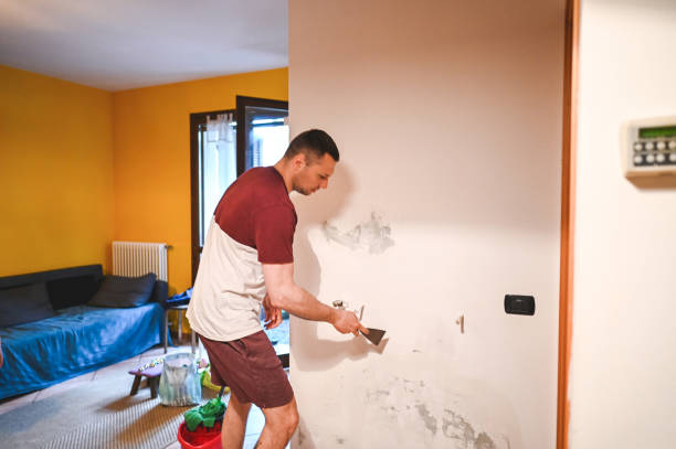 Best Post-Flood Mold Remediation in Burleson, TX