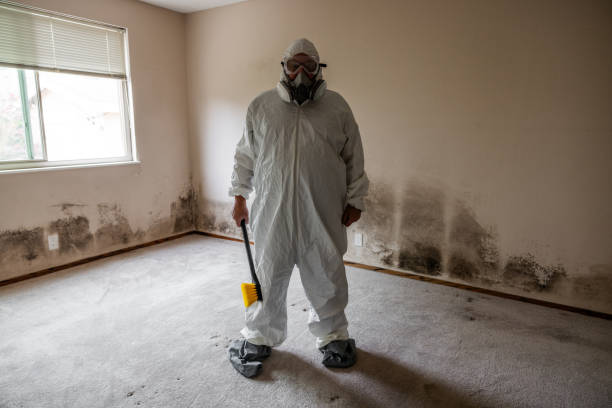 Best Mold Remediation for Specific Building Types in Burleson, TX